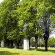 <p>Marianská hora, křížová cesta z Horní Čermné</p>